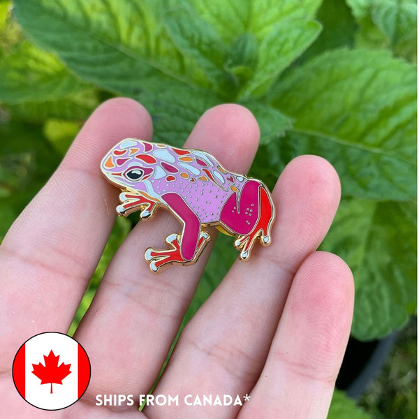 An enamel frog pin, in Lesbian pride flag colours, pink, fuchsia, white, red, and orange, with gold-plated detailing.