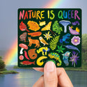 Magnet with colorful illustrations of nature and 'Nature is Queer' text held against a rainbow and nature background.