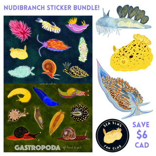 Nudibranch Sticker Bundle! FREE SHIPPING