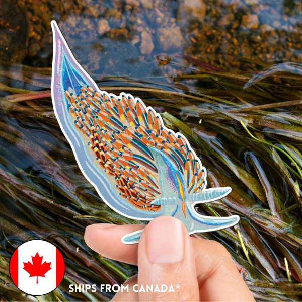 SUPER LIMITED EDITION! Opalescent / Thick-Horned Nudibranch Magnet - Hermissenda crassicornis