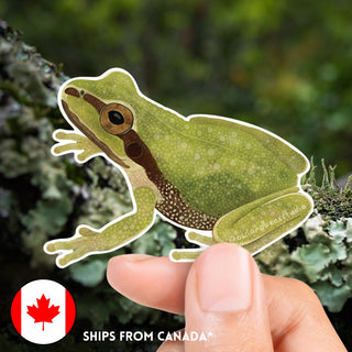 Pacific Chorus Frog Sticker (Eco Vinyl) - FREE SHIPPING