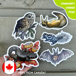 Pacific Northwest Critters Sticker Set by Emily Poole (5 Stickers) - Community Corner Item! - FREE SHIPPING