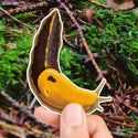 Magnet of a yellow and black banana slug held over a natural background with green moss and brown twigs.