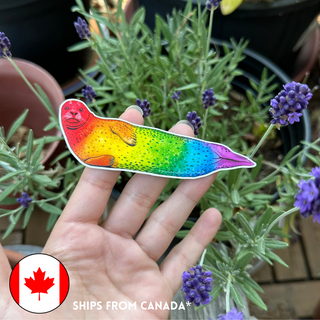 Rainbow Harbour Seal Pride Sticker (Eco Vinyl)