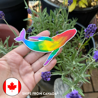 Rainbow Humpback Whale Pride Sticker (Eco Vinyl)