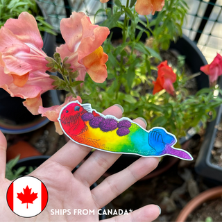 Rainbow Sea Otter Pride Sticker (Eco Vinyl)