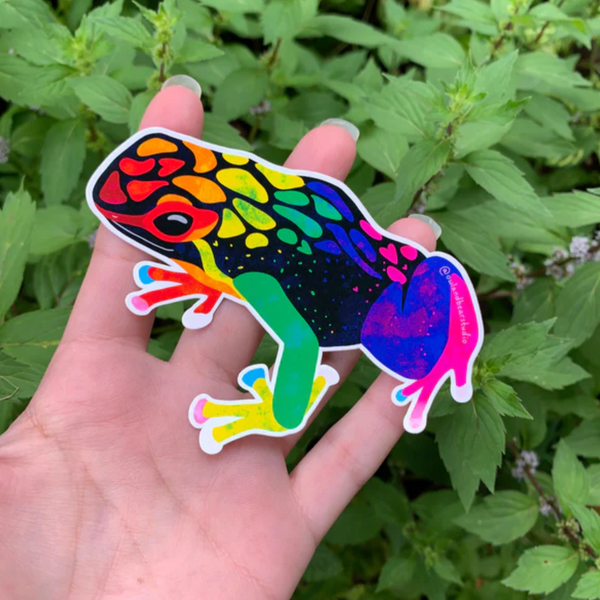 Rainbow Frog Sticker (Vinyl) - FREE SHIPPING