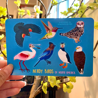 Nerdy Birds Sticker Sheet (Paper) - FREE SHIPPING