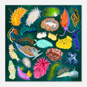 Sea Slugs from Around the World Art Print (Square, Multiple Sizes)