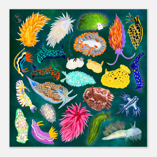 Sea Slugs from Around the World Art Print (Square, Multiple Sizes)