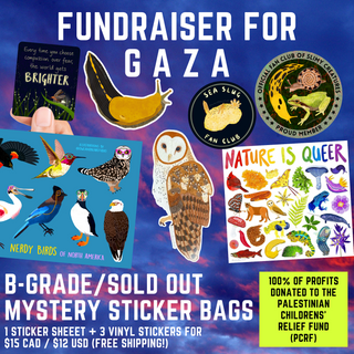 Fundraiser for Gaza - B-Grade/Sold Out Mystery Sticker Bundle - FREE SHIPPING