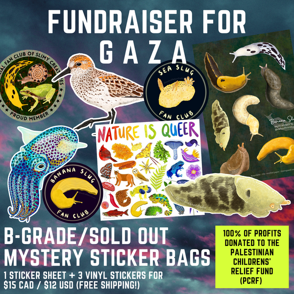 Fundraiser for Gaza - B-Grade/Sold Out Mystery Sticker Bundle - FREE SHIPPING