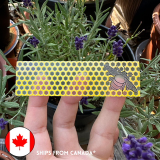 Tactile Bee & Honeycomb Sticker Strip (Clear Vinyl) - Textured Stim Sticker