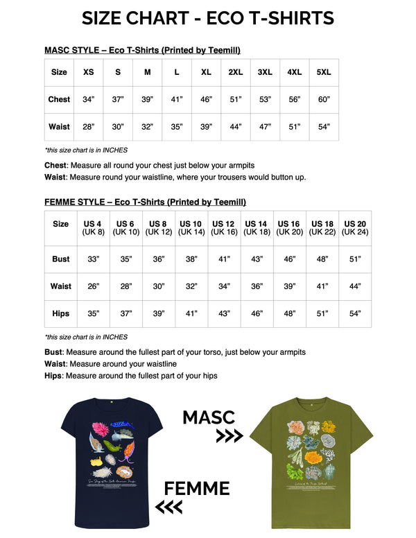 Sea Slugs of the North American Pacific T-Shirt (XS-5XL) - 100% Cotton - Multiple Colours - Masc & Femme Styles - Eco Friendly!