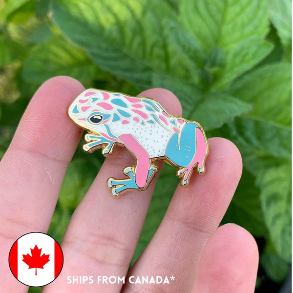 An enamel frog pin, in transgender pride flag colours, pale blue, pink and white, with gold-plated detailing.