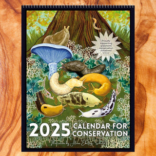 2025 Conservation Calendar (includes 12 8x10