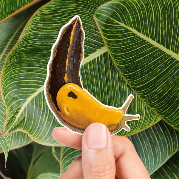 Pacific Banana Slug Sticker (Eco Vinyl) - FREE SHIPPING