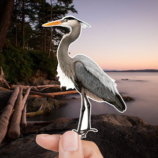 Great Blue Heron Sticker (Eco-Vinyl)