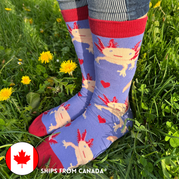 A vibrant pair of socks with a cute Axolot pattern on a purple background with red accents.
