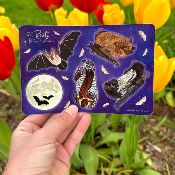 Bats of BC Sticker Sheet (Paper)