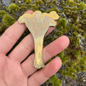 Pacific Golden Chanterelle Mushroom Enamel Pin - 25% to Charity! - Hard Enamel w/ Sandblast Effect - (Wholesale)