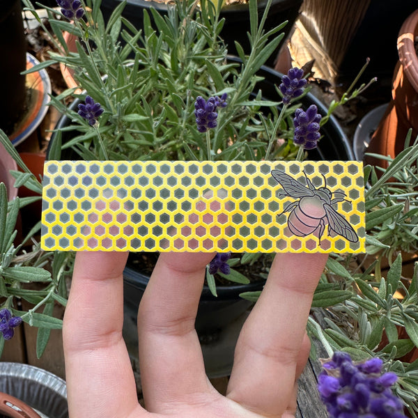 Tactile Bee & Honeycomb Sticker Strip (Clear Vinyl) - Textured Stim Sticker