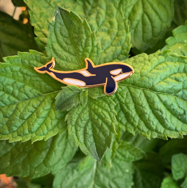 Southern Resident Orca Whale Pin - 25% to Charity! - Orcinus Orca