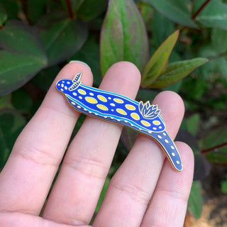 California Blue Dorid Nudibranch Pin! - 25% to Charity - Felimare californiensis