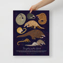 Pangolins of the World - Fine Art Print - ID Field Guide Poster (Multiple Sizes) - FREE SHIPPING
