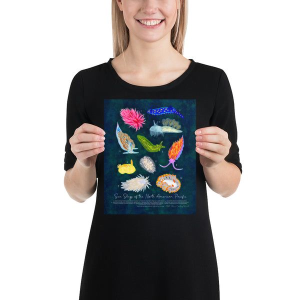 Sea Slugs of the North American Pacific - Fine Art Print - Nudibranch ID Field Guide Poster (Multiple Sizes) - FREE SHIPPING