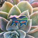 Grizzly Bear + Salmon Pin - 25% To Charity! - Sunset Landscape