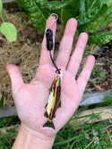 1-Sided Keychain / Zipper Pull - Chinook Salmon Acrylic Charm - $1 to Charity! - (***RETIRED***)