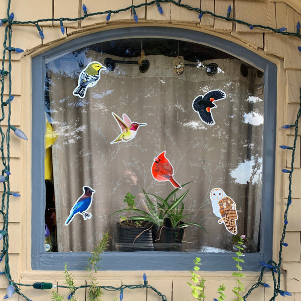 Anti-Strike Bird Window Decals, Set of 6 - 10% to Charity! - FREE SHIPPING