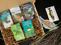 Leaf Sheep Sea Slug Pin - 25% to Charity! - Costasiella kuroshimae - Nudibranch Pin