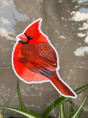 Anti-Strike Bird Window Decals, Set of 6 - 10% to Charity! - FREE SHIPPING