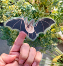 Townsend's Big-Eared Bat Sticker, Flying (Clear Vinyl) - FREE SHIPPING - (***RETIRED***)
