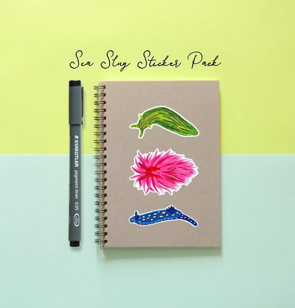 Sea Slug Sticker Pack! - Eco Vinyl - Eelgrass Sea Hare, Hopkins' Rose Nudibranch, California Blue Dorid (FREE SHIPPING)