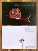 SET OF 5 Gastropod Postcards (100% Recycled) - FREE SHIPPING - (***RETIRED***)