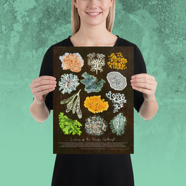 Lichens of the Pacific Northwest - Fine Art Print (Multiple Sizes) - FREE SHIPPING