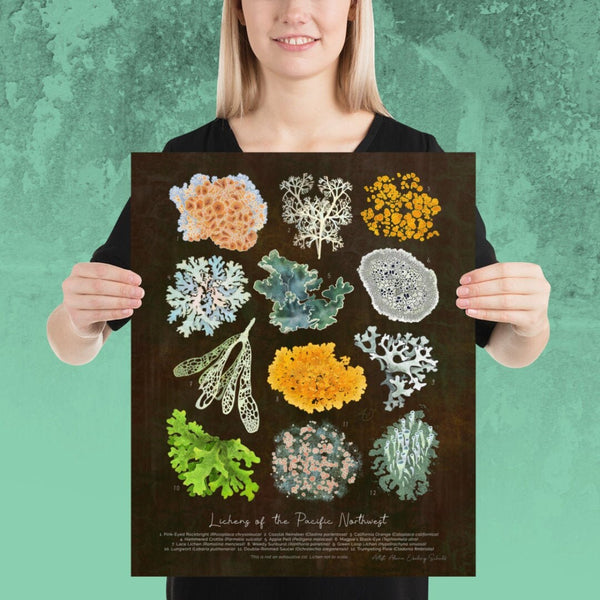 Lichens of the Pacific Northwest - Fine Art Print (Multiple Sizes) - FREE SHIPPING