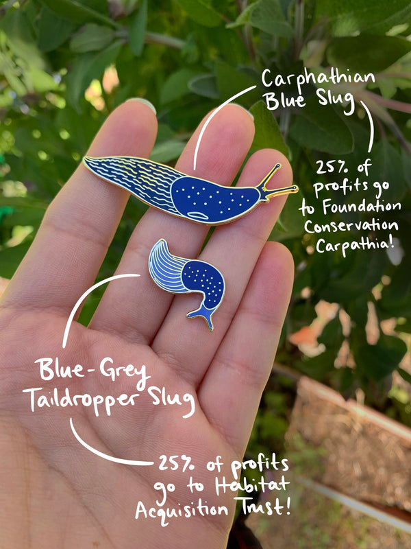 Carpathian Blue Slug Pin - 25% to Charity! - Bielzia coerulans - (***RETIRED***)