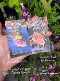 Hopkins' Rose Nudibranch Pin! - 25% to Charity - Okenia rosacea