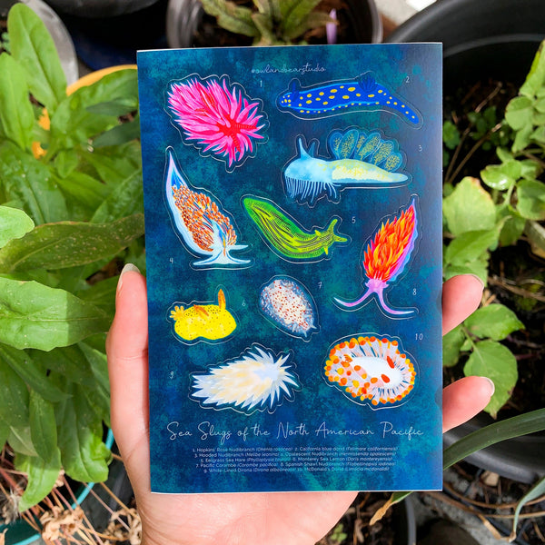 Sea Slugs Sticker Sheet (Eco Vinyl) - FREE SHIPPING - (***RETIRED***)