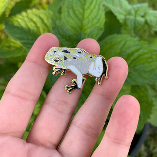 Agender Pride Frog Pin - 25% to Charity - Queer-Owned Business! - LGBTQ2SIA+ - LGBTQ - Subtle Pride Flag Hard Enamel Pin