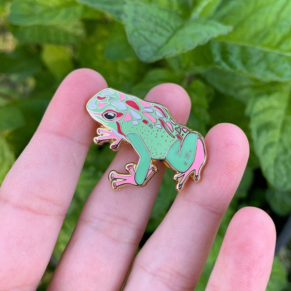 Abrosexual Pride Frog Pin - 25% to Charity - Queer-Owned Business! - LGBTQ2SIA+ - LGBTQ - Subtle Abro Pride Flag Hard Enamel Pin