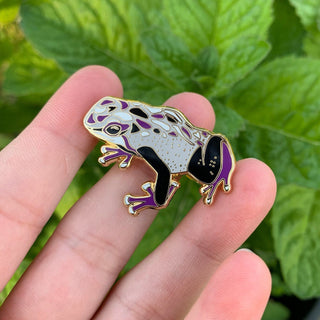 Asexual Pride Frog Pin - 25% to Charity - Queer-Owned Business! - LGBTQ2SIA+ - LGBTQ - Subtle Ace Pride Flag Hard Enamel Pin