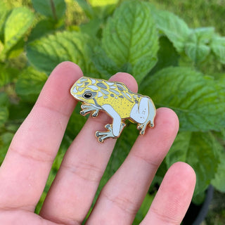 Demigender Pride Frog Pin - 25% to Charity - Queer-Owned Business! - LGBTQ2SIA+ - LGBTQ - Subtle Pride Flag Hard Enamel Pin