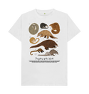 Pangolins of the World T-Shirt (100% Cotton) - Multiple Colours - Masc & Femme Styles - Eco Friendly!